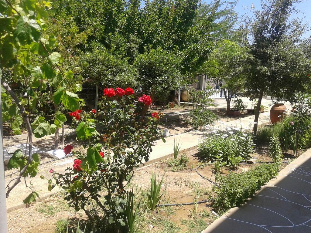 Aegean Harmony Apartamento Platis Gialos  Exterior foto